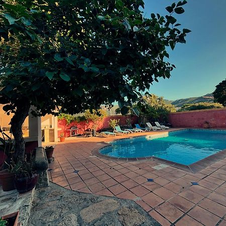 Residence Antonia Appartements Avec Piscine Commune - Centre Ville Calvi Calvi  Kültér fotó