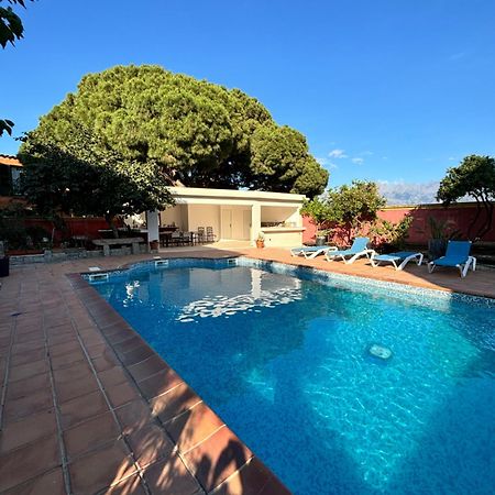 Residence Antonia Appartements Avec Piscine Commune - Centre Ville Calvi Calvi  Kültér fotó