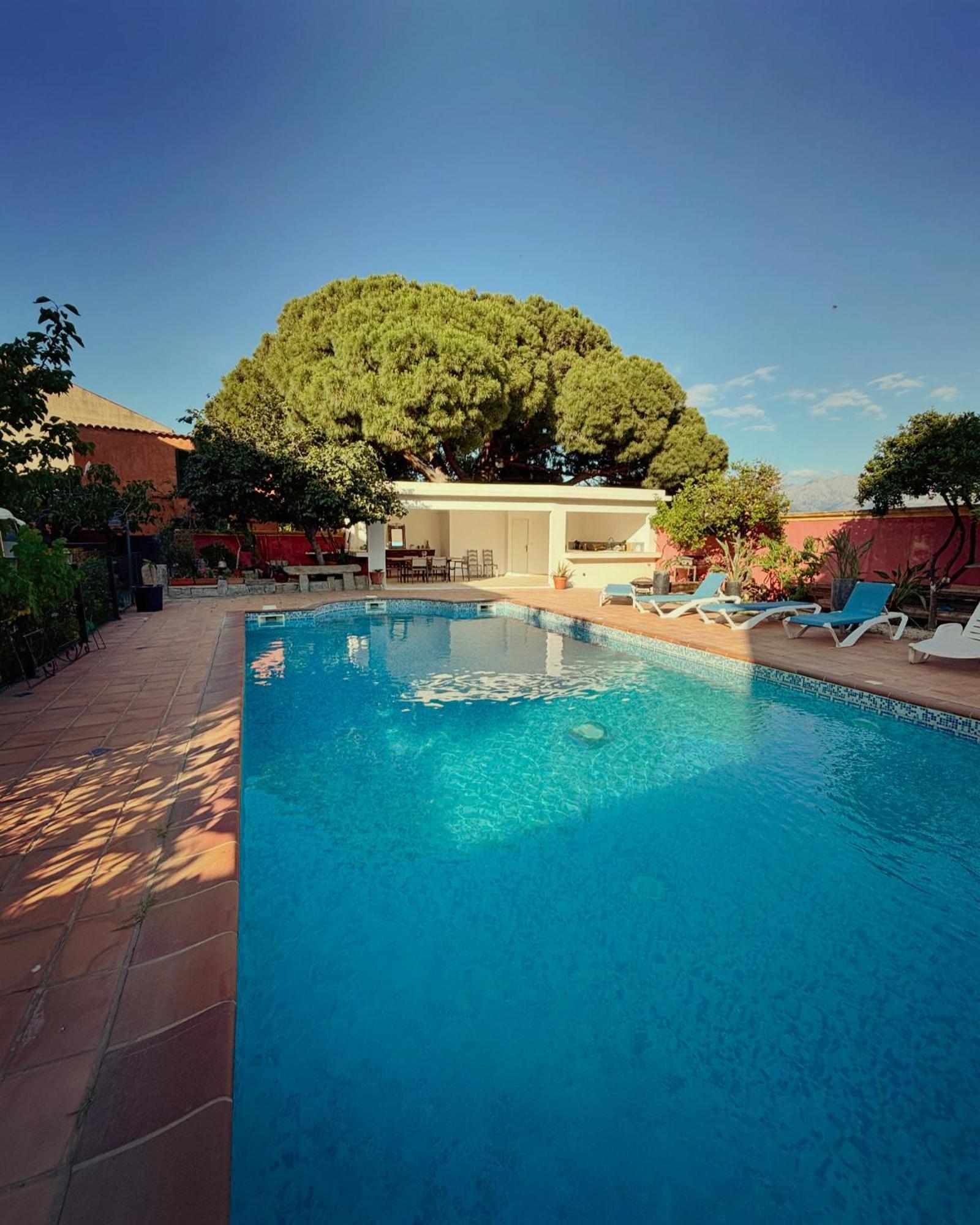 Residence Antonia Appartements Avec Piscine Commune - Centre Ville Calvi Calvi  Kültér fotó