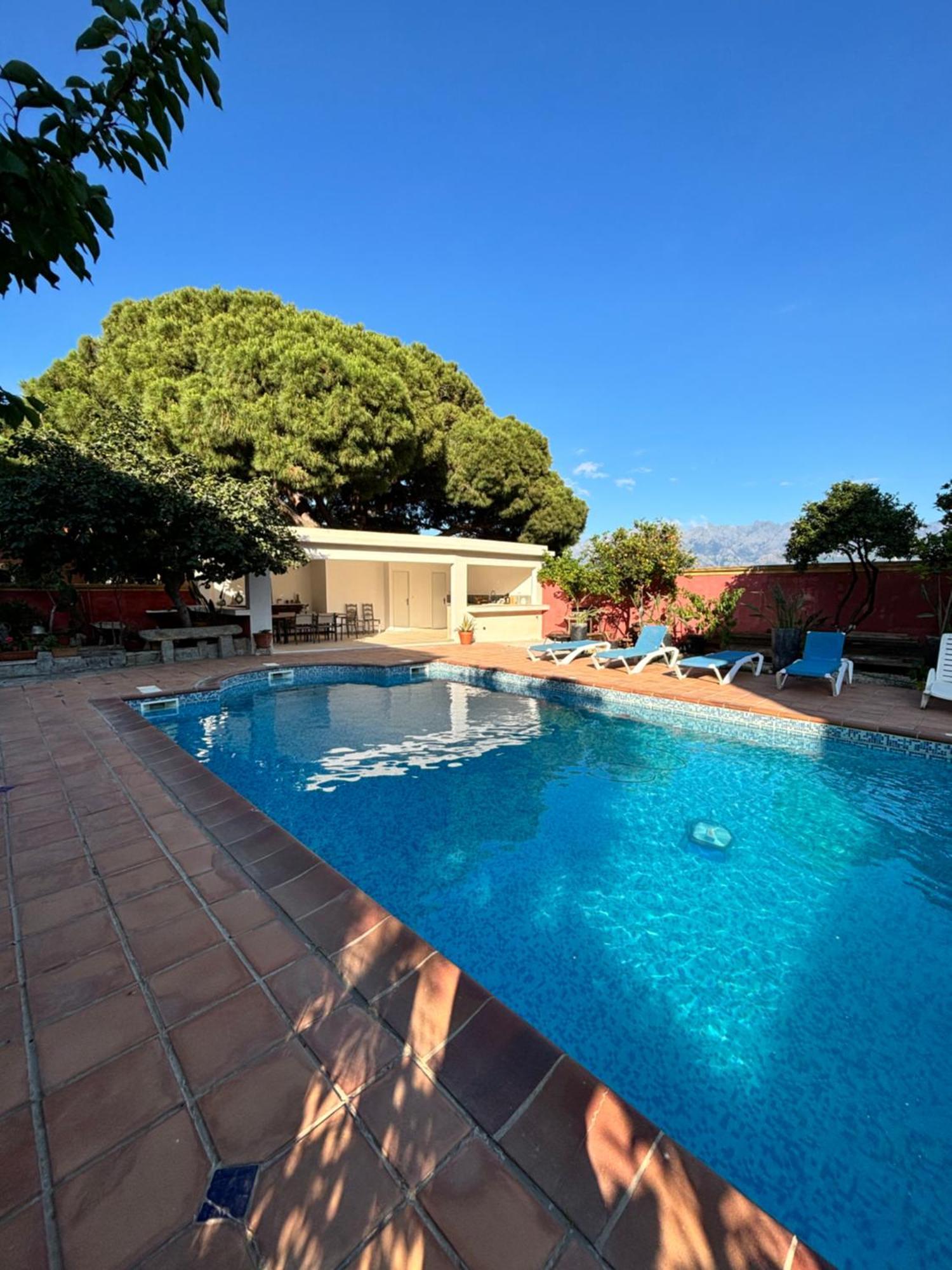 Residence Antonia Appartements Avec Piscine Commune - Centre Ville Calvi Calvi  Kültér fotó