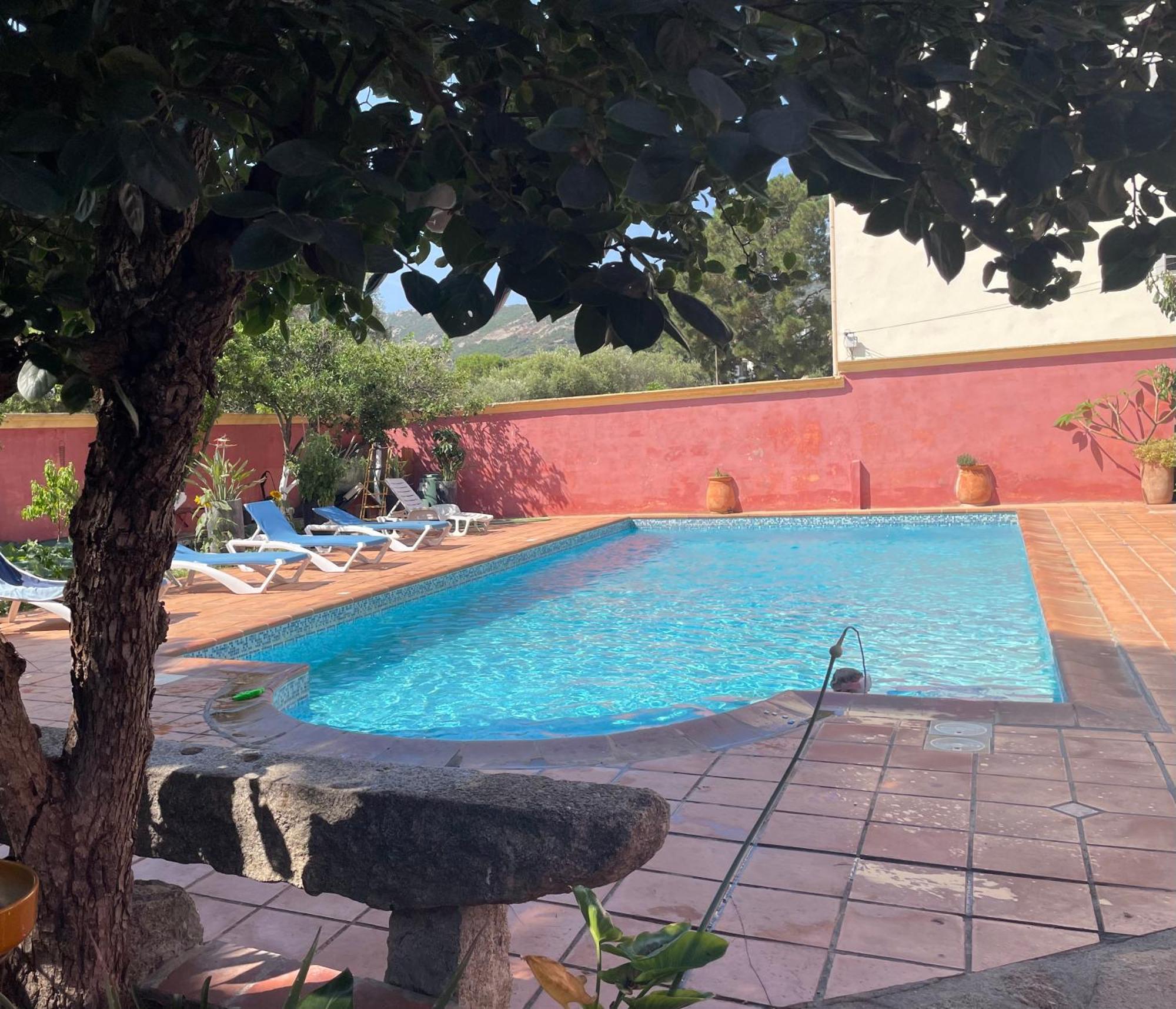 Residence Antonia Appartements Avec Piscine Commune - Centre Ville Calvi Calvi  Kültér fotó