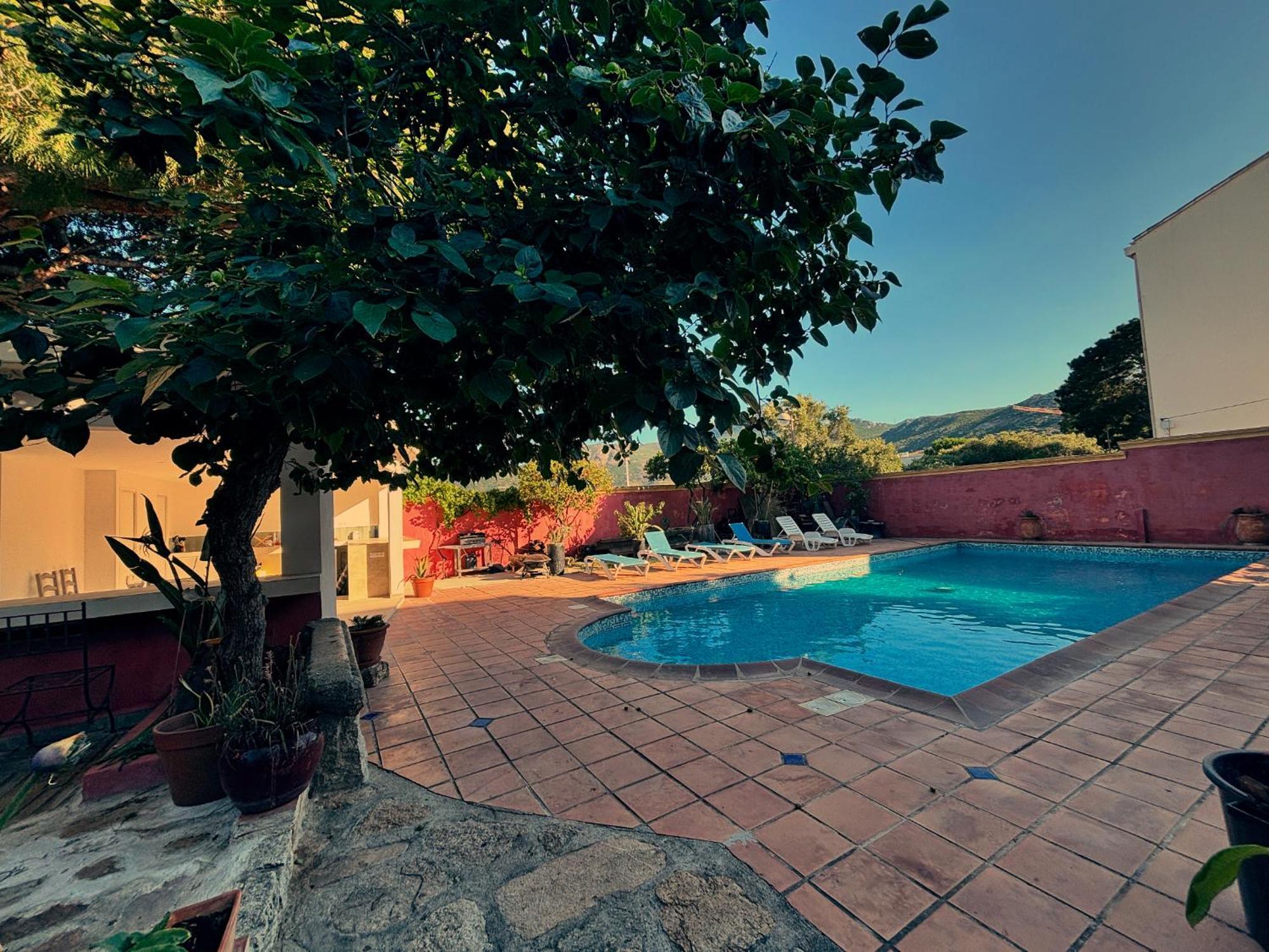 Residence Antonia Appartements Avec Piscine Commune - Centre Ville Calvi Calvi  Kültér fotó