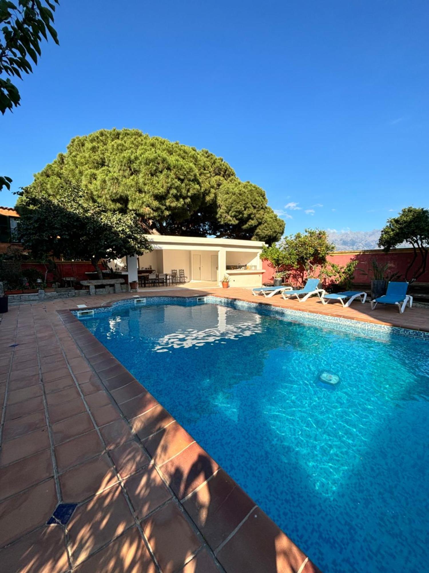 Residence Antonia Appartements Avec Piscine Commune - Centre Ville Calvi Calvi  Kültér fotó